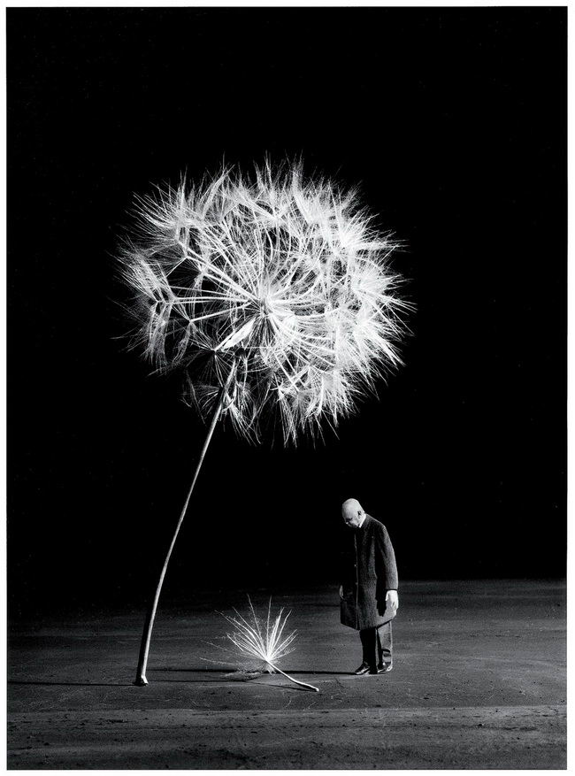 stage photo rencontres arles