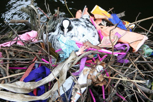 Rencontres d'arles 2014