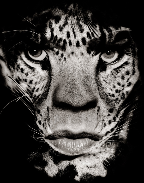 Albert Watson