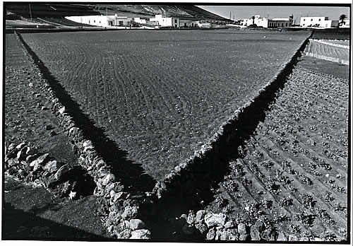 Lanzarote, 1981