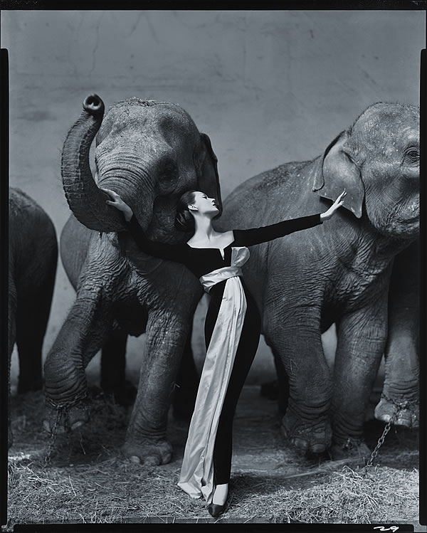 Photographies 1946-2004