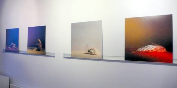 Concours Photo 2008 : remise des prix