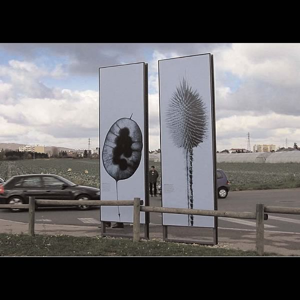 Signalétique des zones industrielles du Grand Lyon