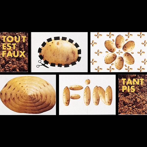 Tout est faux, tant pis, TEI