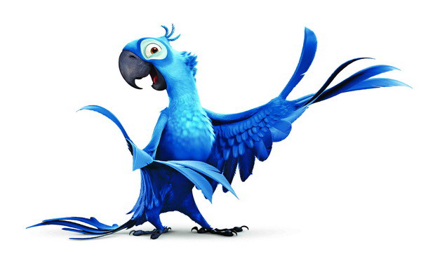 Rio Pixelcreationfr Magazine Du Graphisme Design