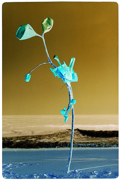 "Il n'y avait pas que du mazout sur la plage", 2006