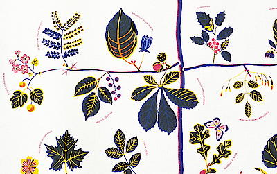 Svenskt Tenn & Josef Frank