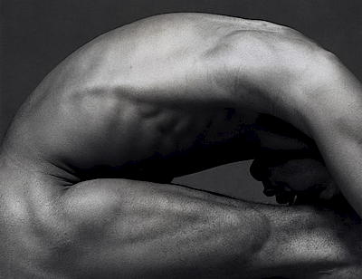Robert Mapplethorpe by Sofia Coppola and Peter Marino