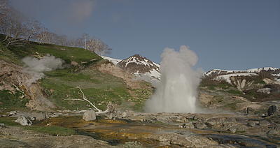 Les Films en Vrac/Orange Studio/Nature Pictures/Cameron Pace Group