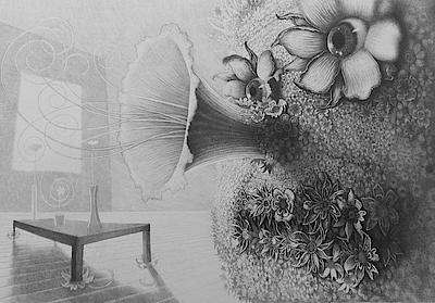 Davor Vrankic